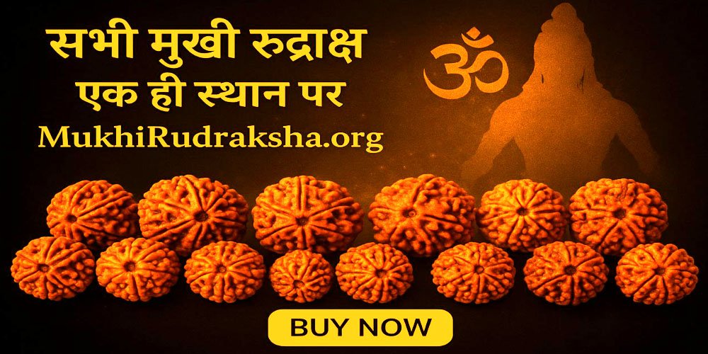 mukhirudraksha.org
