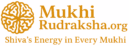 Mukhirudraksha.org